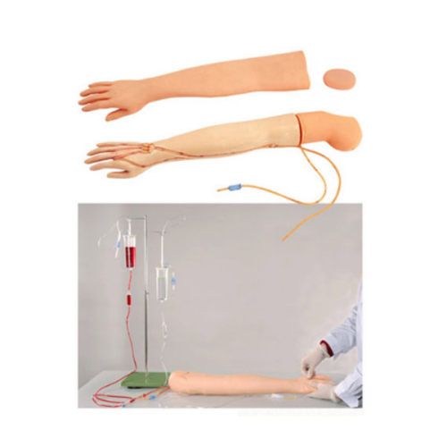 Full functional arm venipuncture injection model Features