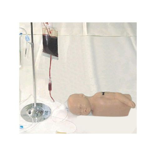 Infant head and arm venipuncture injection model