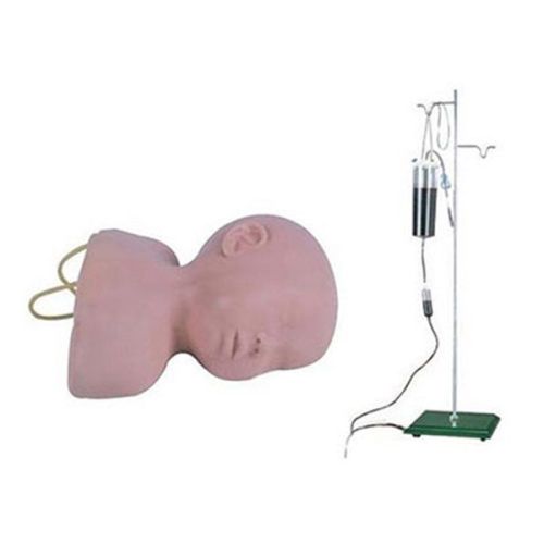 Infant head venipuncture training model