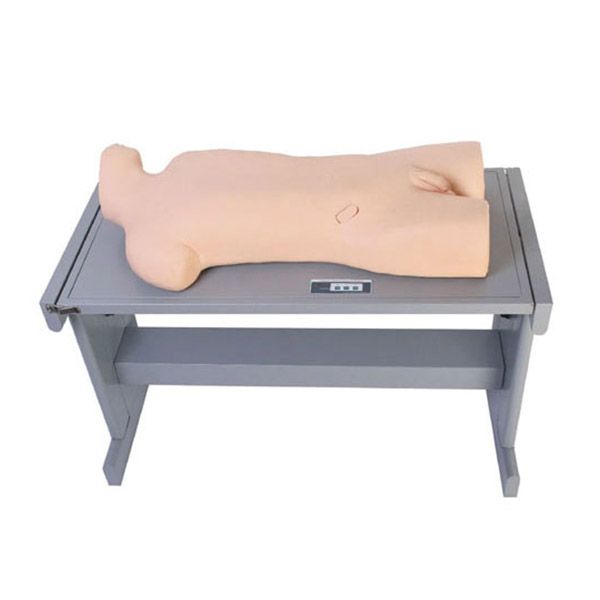 SC-CK819 Liver Abscess Puncture and Thorax Puncture Training Manikin