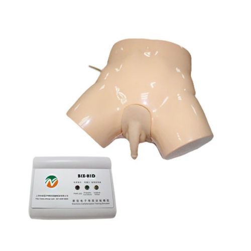 Medical Electronic Urethral Catheterization and Enema Model