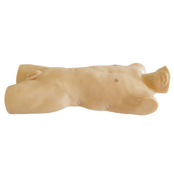 SC-CK816 Medulla Ossium Puncture Standardized Patient Manikin