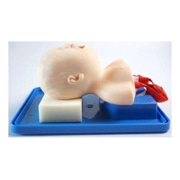 Neonate Head for Trachea Intubation Model