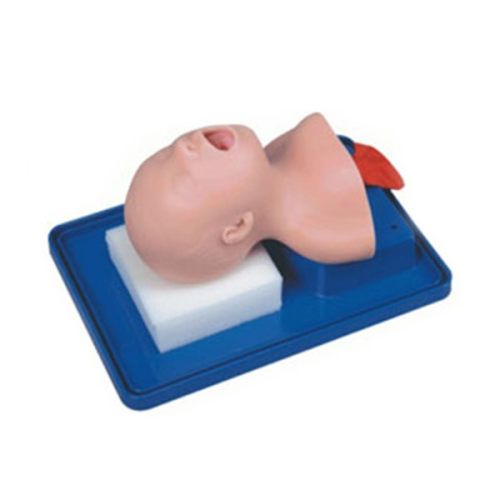 SC-J2A Neonate Head for Trachea Intubation Model 1