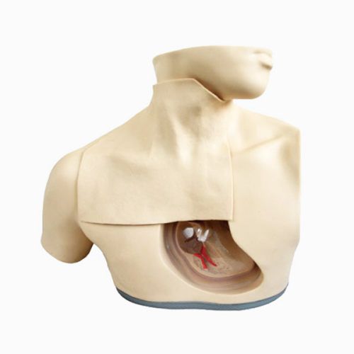 SC-H72 Parenteral Alimentation Nursing Model 1