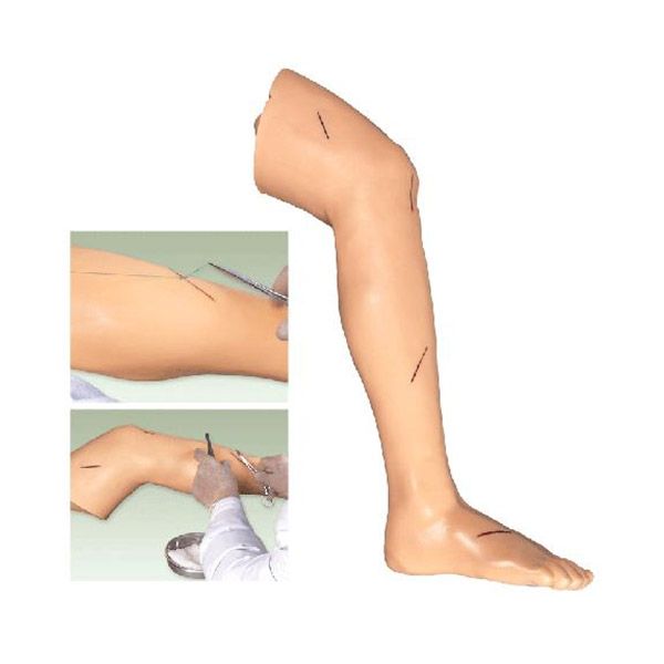 Senior Surgical Leg Suture Training Model