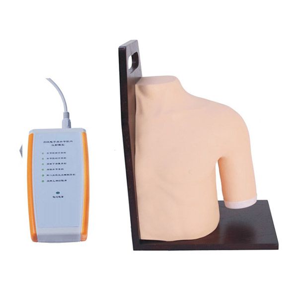 SC-CK20133 Shoulder Joints Intracavity Injection Training Model