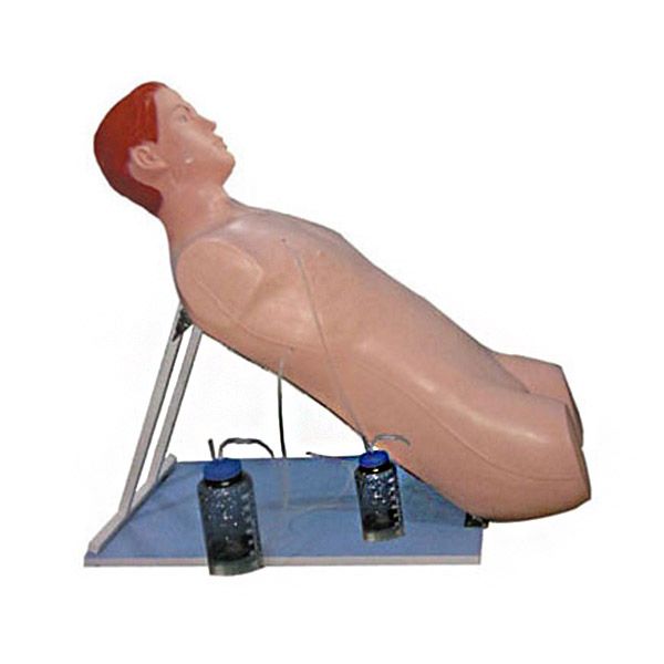 SC-CK818 Thoracic Cavity Closed Drainage Training Manikin