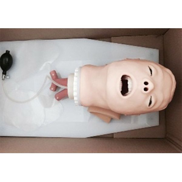 SC-J50 Trachea Intubation Training Model