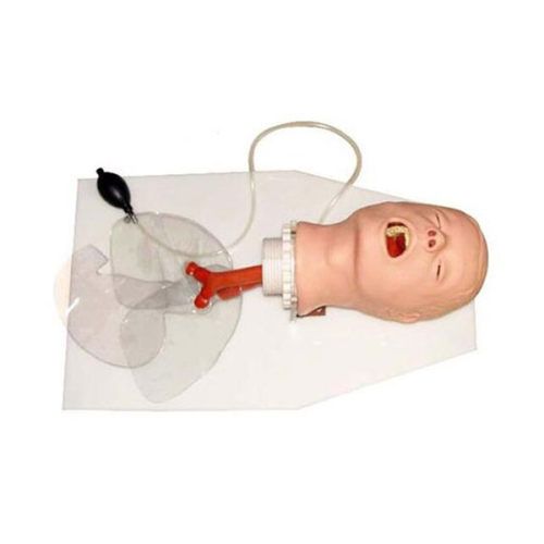 Trachea intubation Training Model