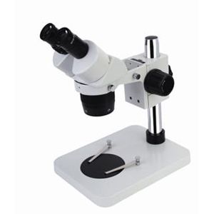 XT24 Series Stereo Microscope