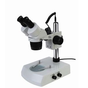 XT24 Series Stereo Microscope