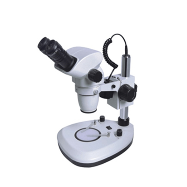 XTL6555 Series Zoom Stereo Microscope