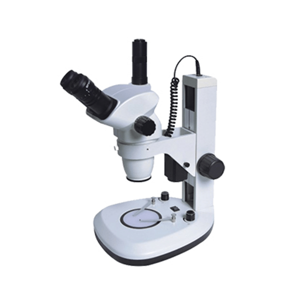 XTL6555 Series Zoom Stereo Microscope