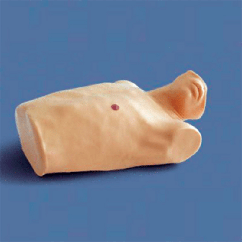 SC-CK817 Pericardial Puncture and Intracardiac Injection Training Manikin