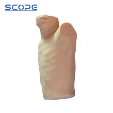 SC-CK817 Pericardial Puncture and Intracardiac Injection Training Manikin