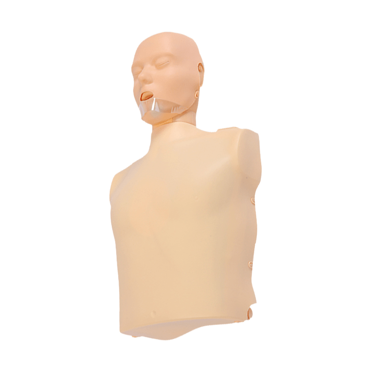 SC-CPR100A Half-body CPR Training Manikin (Simple Electronic) 2