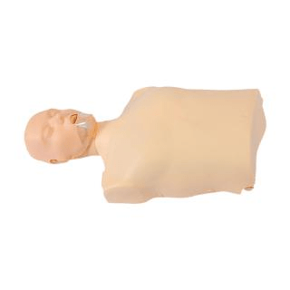 SC-CPR100A Half-body CPR Training Manikin (Simple Electronic)