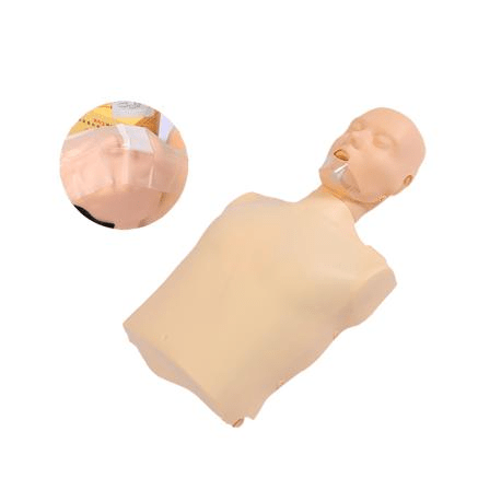 SC-CPR100A Half-body CPR Training Manikin (Simple Electronic) 5