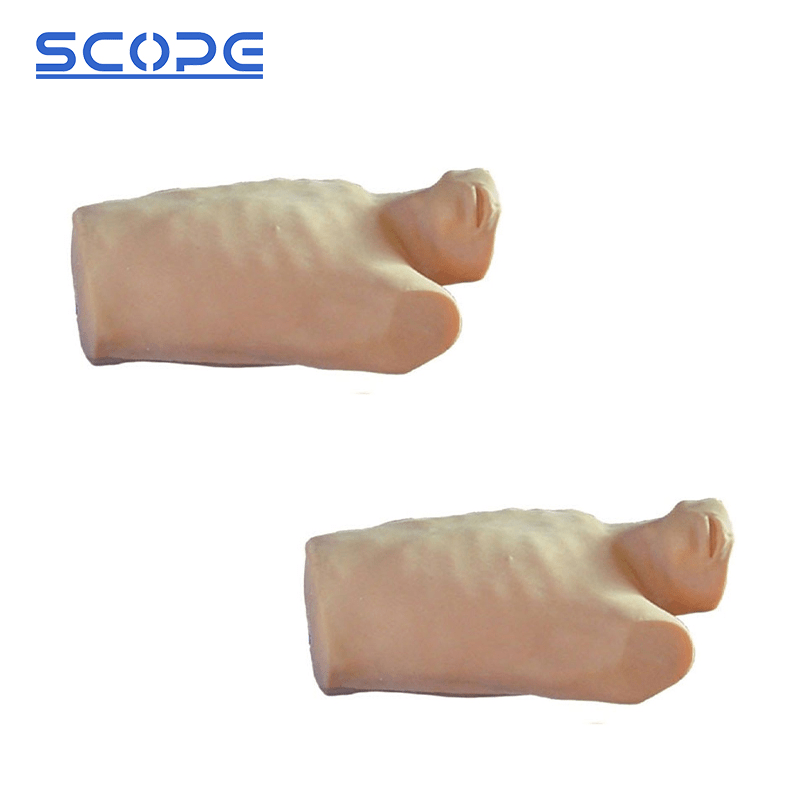 SC-CK817 Pericardial Puncture and Intracardiac Injection Training Manikin 5