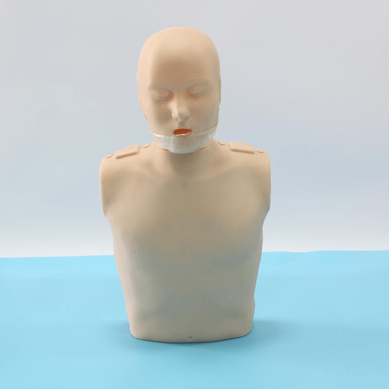 SC-CPR100B Half-body CPR Training Manikin(Simple)