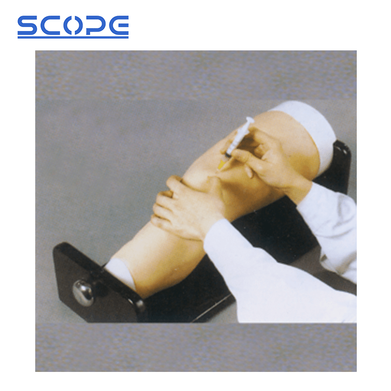 SC-CK20135 Knee Joints Intracavity Injection Training Model 2