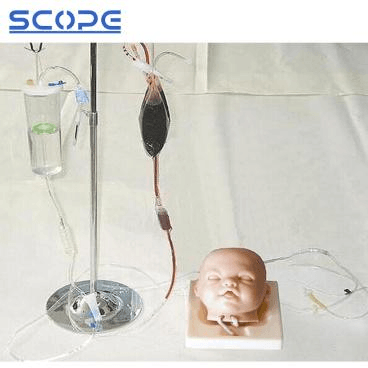 SC-HS6-1 Infant Head Venipuncture Training Model