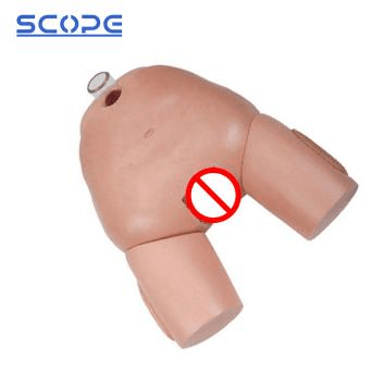 SC-H29F Female Bladder Puncture Simulator