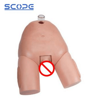 SC-H29E Male Bladder Puncture Simulator