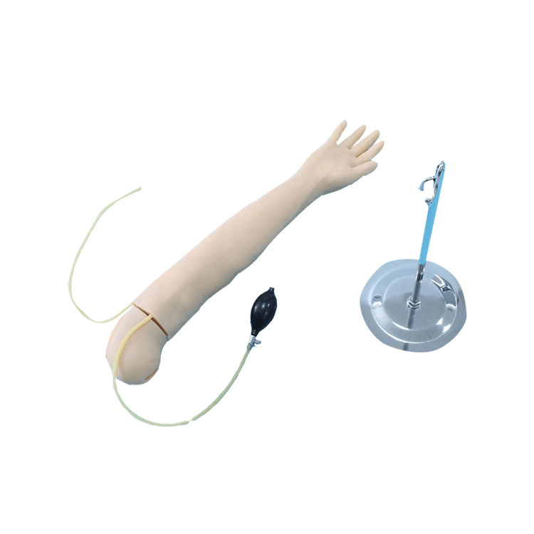 SC-HS5 Arm Artery Puncture and Intramuscular Injection Training Model