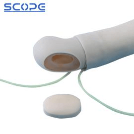 SC-HS5 Arm Artery Puncture and Intramuscular Injection Training Model