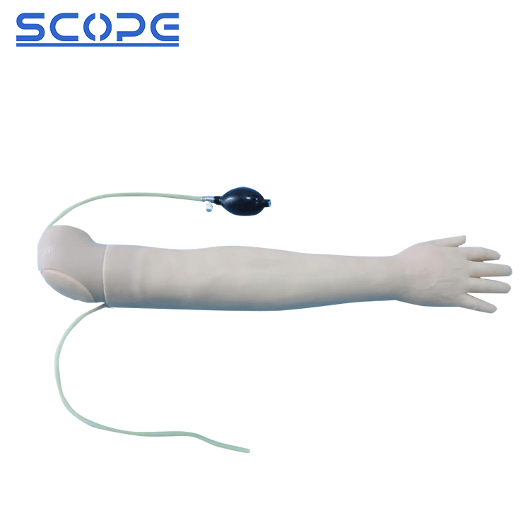 SC-HS5 Arm Artery Puncture and Intramuscular Injection Training Model