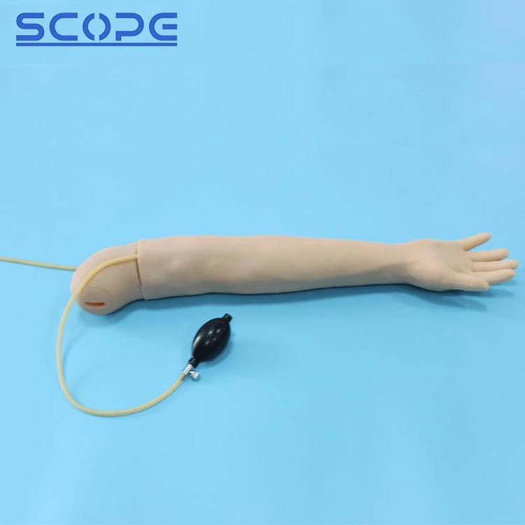 SC-HS5 Arm Artery Puncture and Intramuscular Injection Training Model