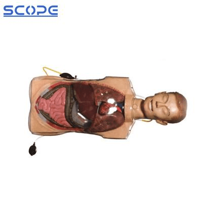 SC-H80 Multifunctional Transparent Gastric Lavage Model 4