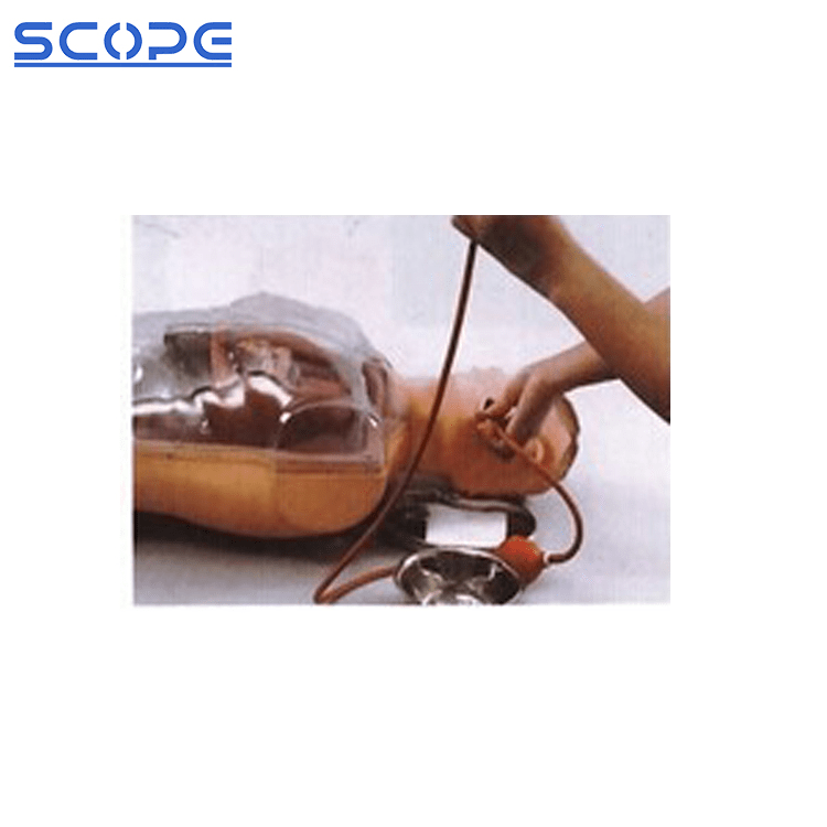 SC-H80 Multifunctional Transparent Gastric Lavage Model 5