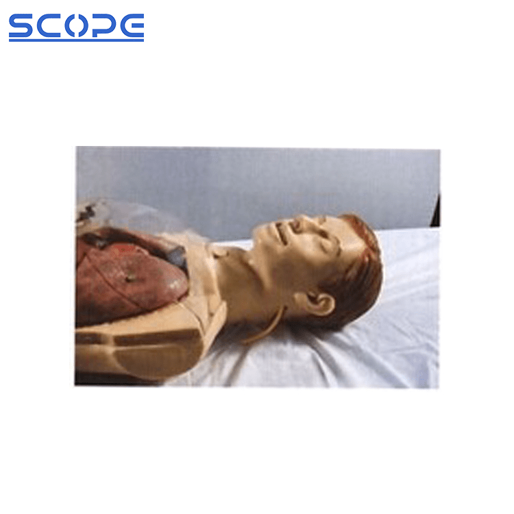 SC-H80 Multifunctional Transparent Gastric Lavage Model 6