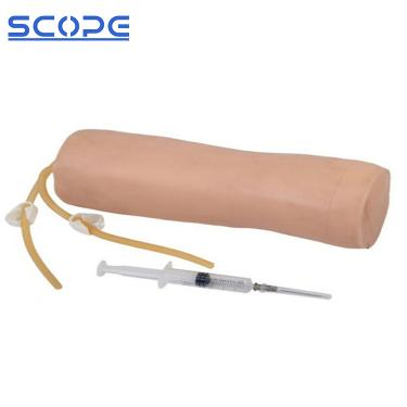 SC-HS10 Advanced Elbow Venipuncture Training Model 2