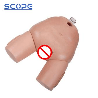 SC-H29F Female Bladder Puncture Simulator