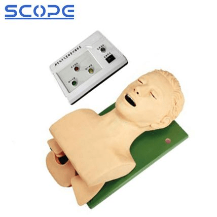 SC-J5S Electronic Airway Intubation Model (with Teeth Compression Alarm Device)