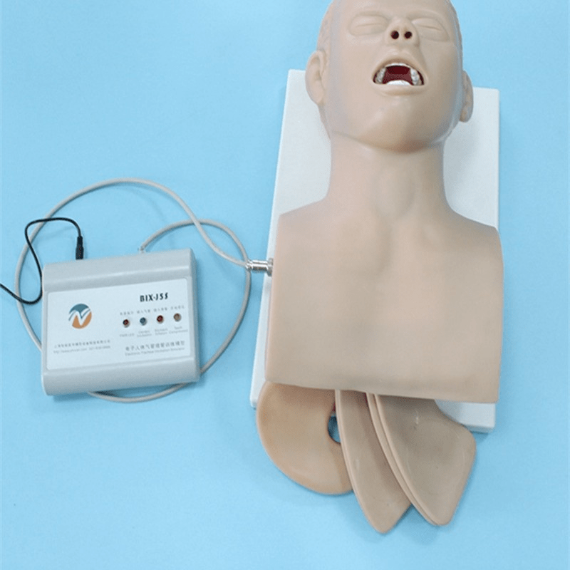 SC-J5S Electronic Airway Intubation Model (with Teeth Compression Alarm Device)