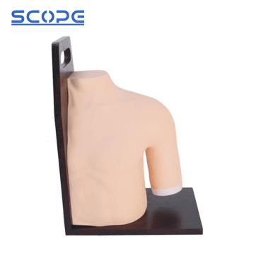 SC-CK20133 Shoulder Joints Intracavity Injection Training Model 2