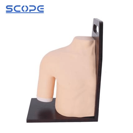 SC-CK20133 Shoulder Joints Intracavity Injection Training Model 3