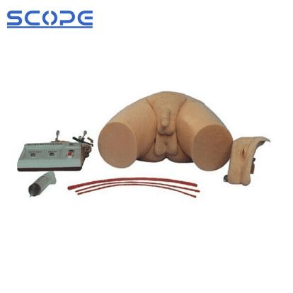 SC-H1D Medical Electronic Urethral Catheterization and Enema Model 3