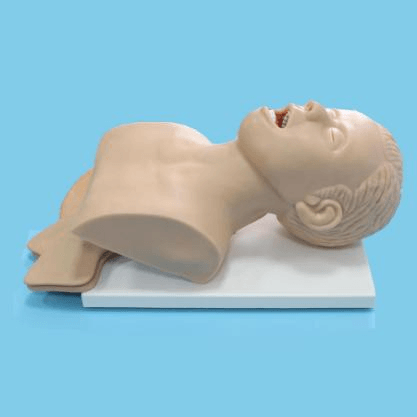 SC-J5S Electronic Airway Intubation Model (with Teeth Compression Alarm Device) 6