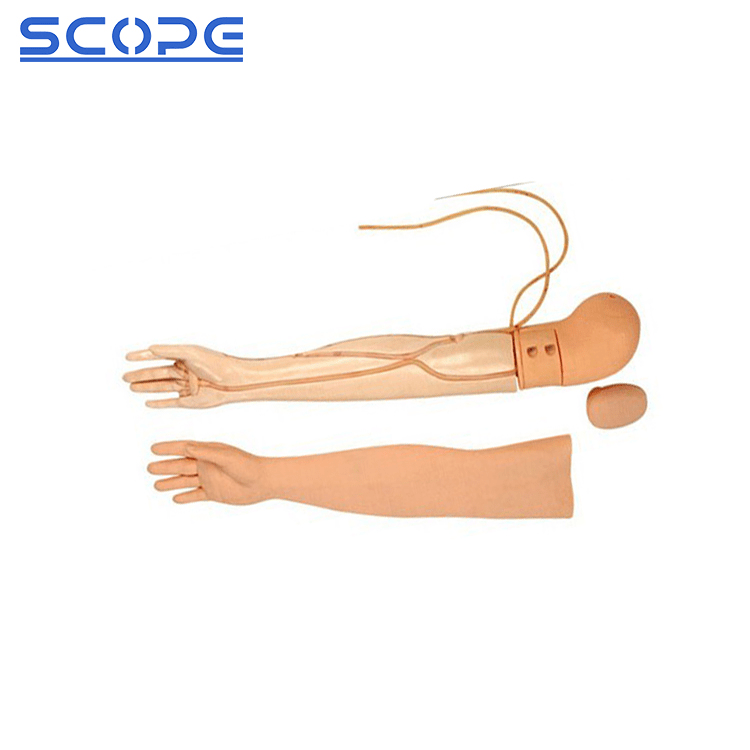 SC-HS3 Full Functional Arm Venipuncture Injection Model