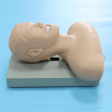 SC-J51 Electronic Airway Intubation Model (with Alarm Device)