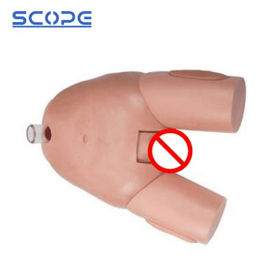 SC-H29E Male Bladder Puncture Simulator