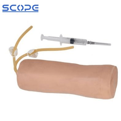 SC-HS10 Advanced Elbow Venipuncture Training Model 3