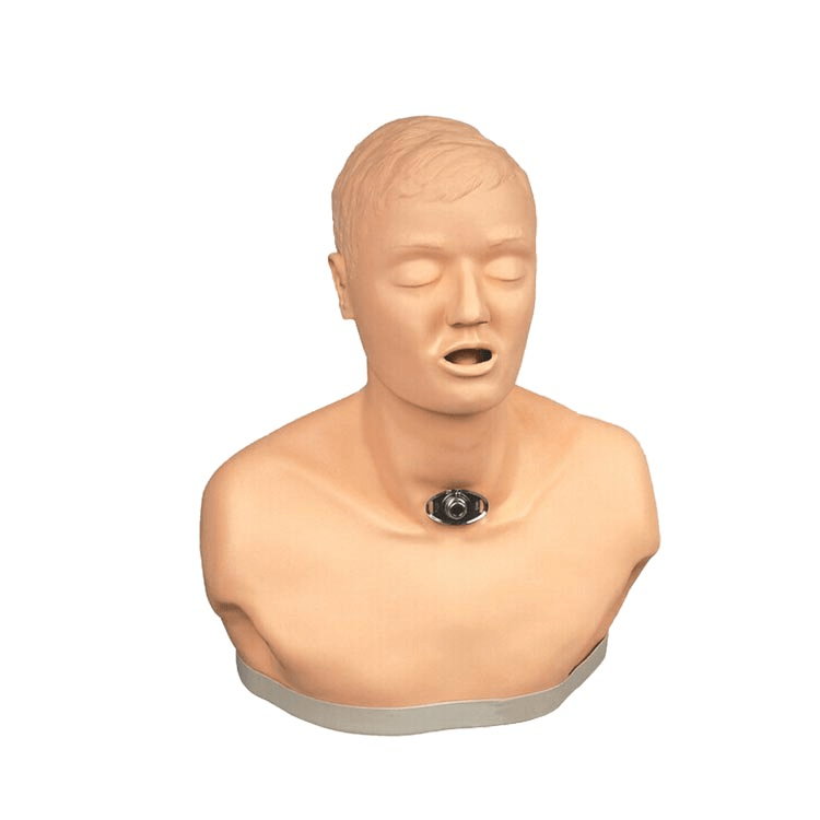 SC-H58 Advanced Adult Tracheotomy Nursing Simulator