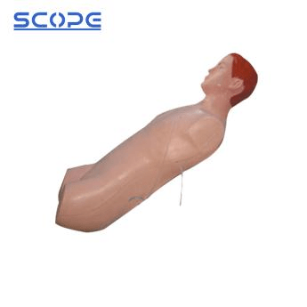 SC-CK818 Thoracic Cavity Closed Drainage Training Manikin 2